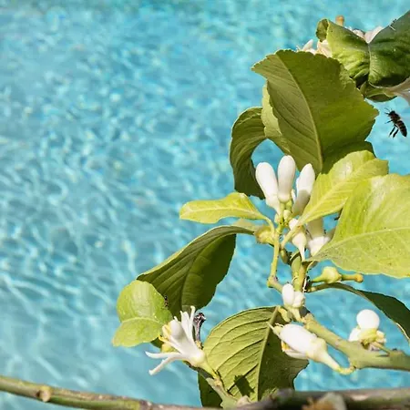 Daniele's Suite. Etna, Sea & Much More... *